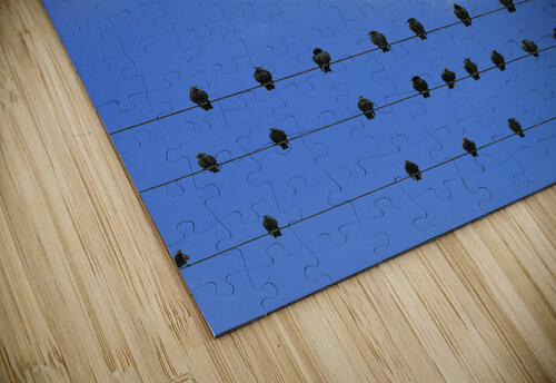 Heart Cloud & Birds Rafael Wong puzzle