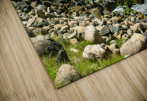 Rocky Beach Rafael Wong puzzle