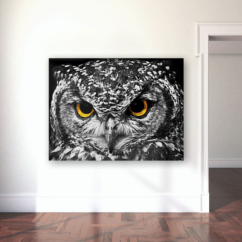 Owl Reproduction
