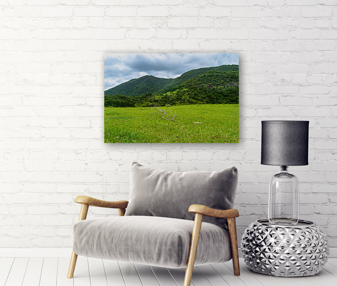 Green Field Reproduction