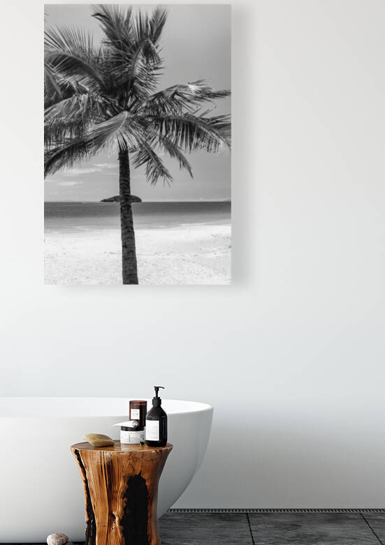 The Island b&w Reproduction