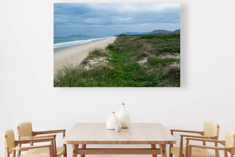 Lone beach Reproduction
