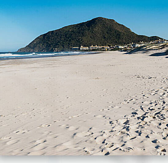 Sand Reproduction