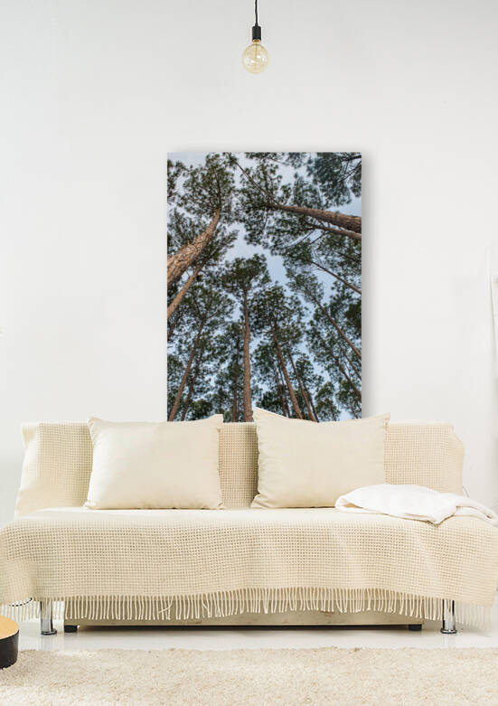 High Trees Reproduction