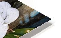 White orchid HD Metal print