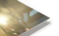 Floating Wale HD Metal print