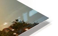 Clear sunset HD Metal print