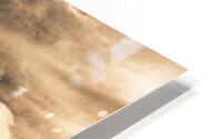 Two HD Metal print