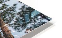 High Trees HD Metal print