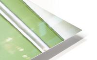 Green Window HD Metal print