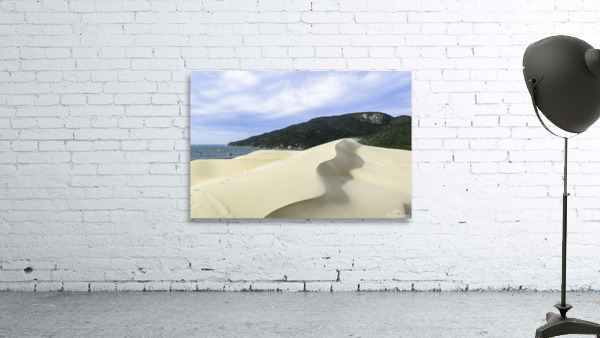 High dunes Wall Preview