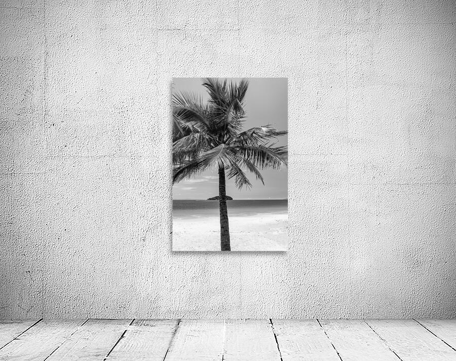 The Island b&w Wall Preview