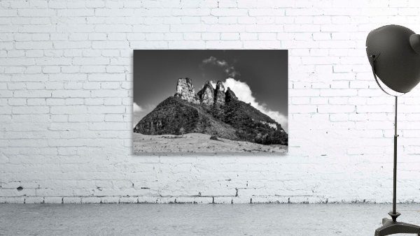 Twins b&w Wall Preview