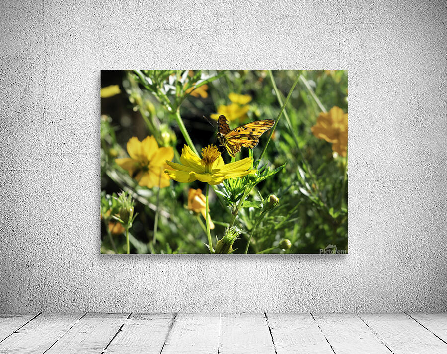 Yellow butterfly Wall Preview