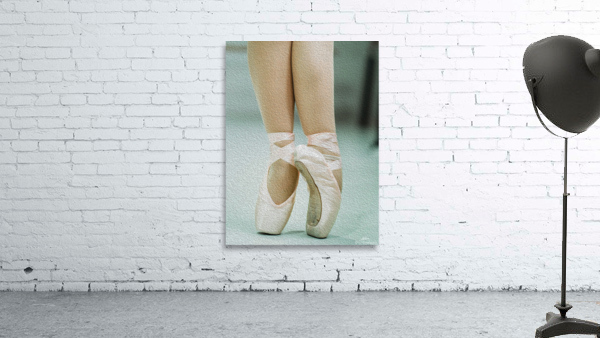 Ballerina Wall Preview