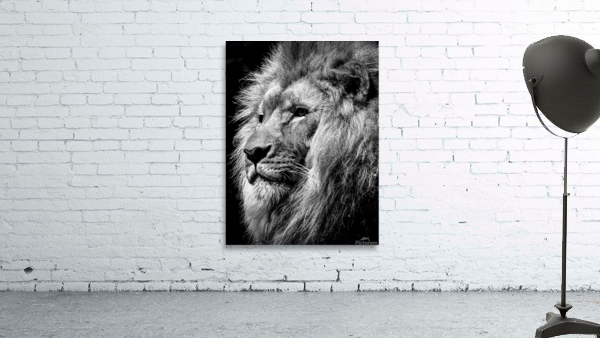The King b&w Wall Preview