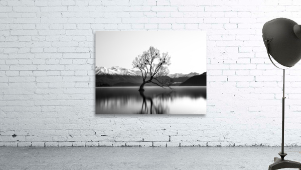 Lake Mirror b&w Wall Preview