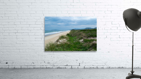 Lone beach Wall Preview