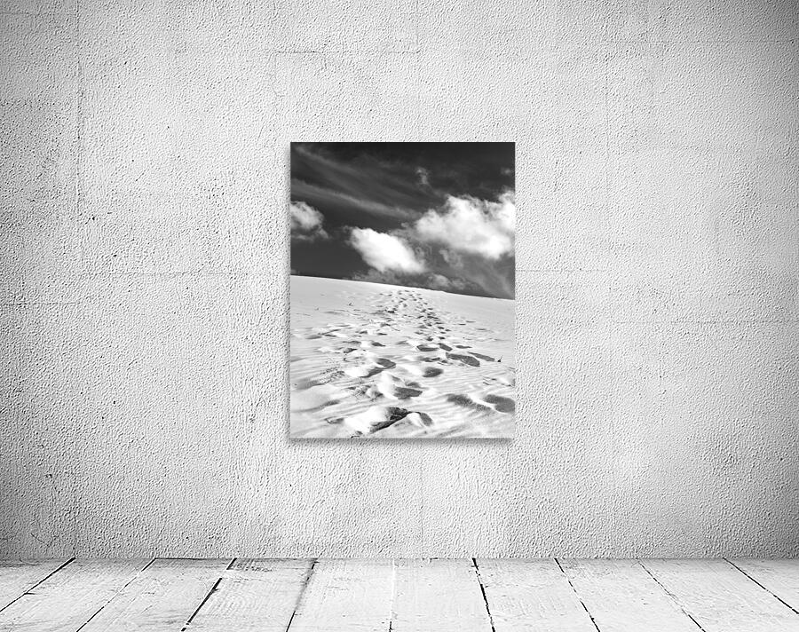 Dune b&w Wall Preview