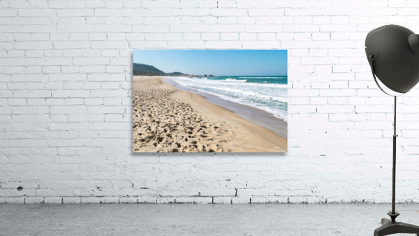 Isolated Beach Wall Preview