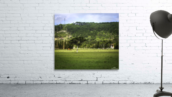 Horse Wall Preview