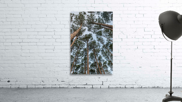 High Trees Wall Preview