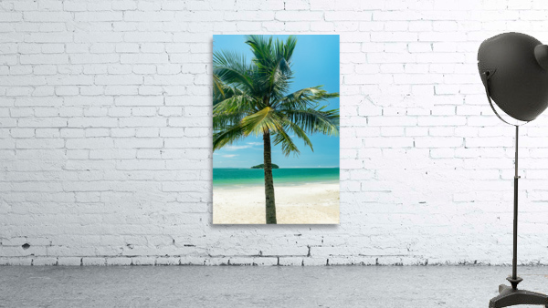 Island Wall Preview