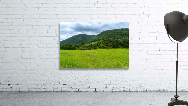 Green Field Wall Preview