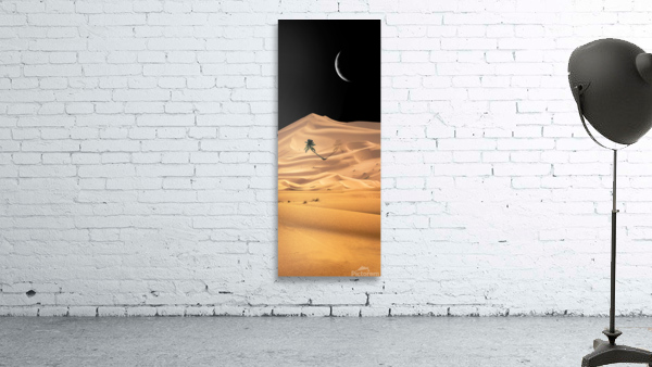 Desert Wall Preview