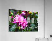 Flower 101 Acrylic Print