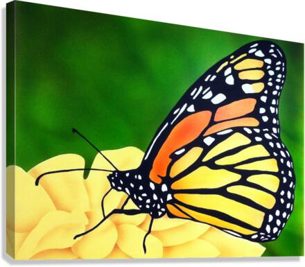 Butterfly 201 Canvas Print