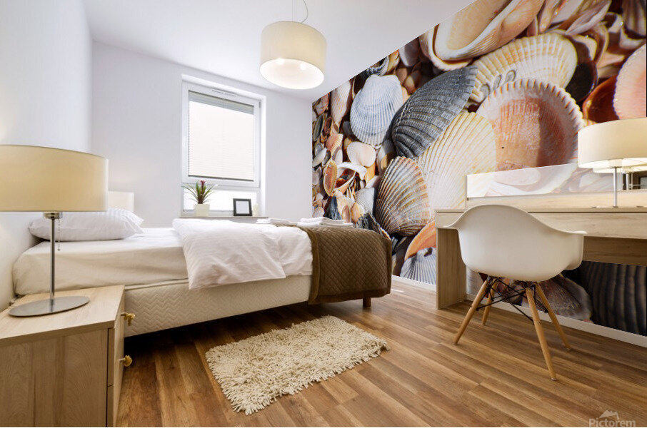 Sea Shells 2 Mural print