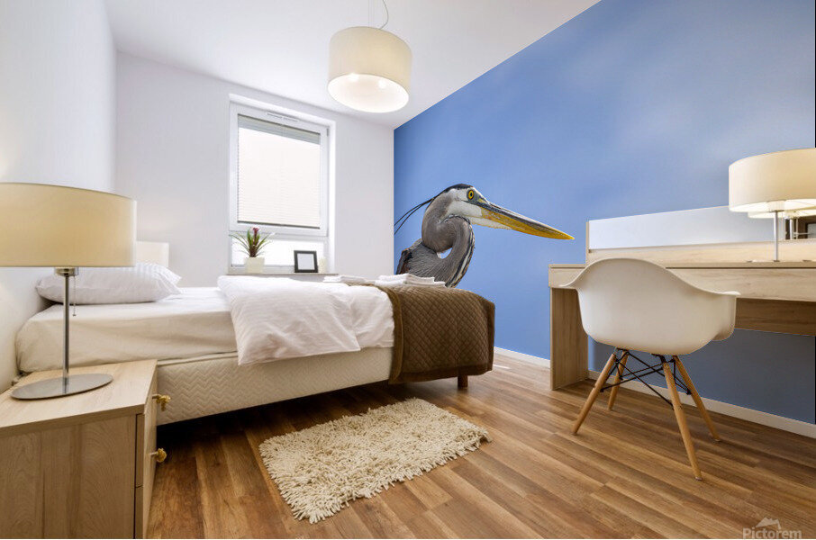 Grey Heron 104 Mural print