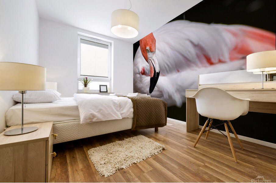 Flamingo 105 Mural print