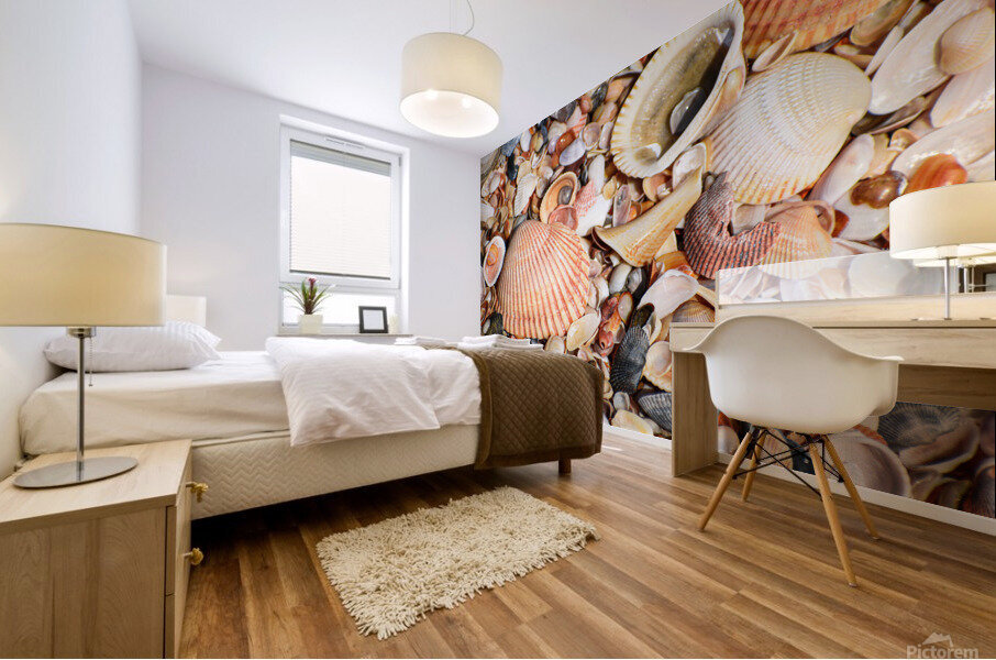 Shell 104 Mural print