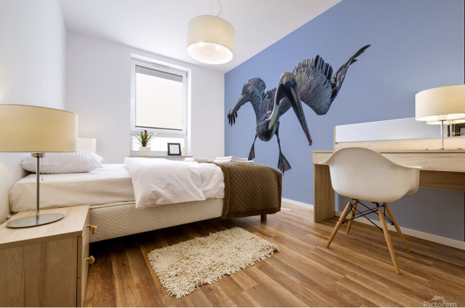 Pelican 103 Mural print