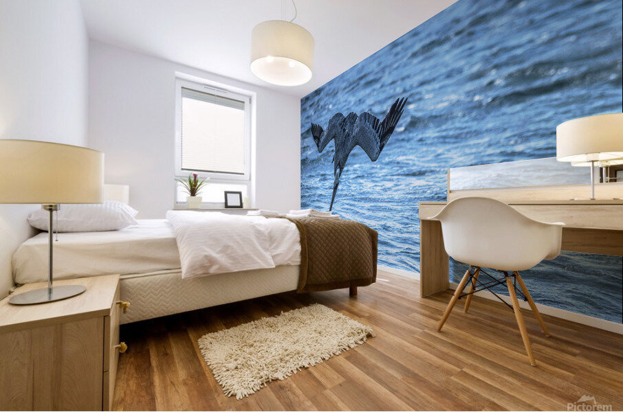 Pelican 101 Mural print