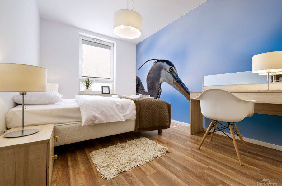 Grey Heron 103 Mural print