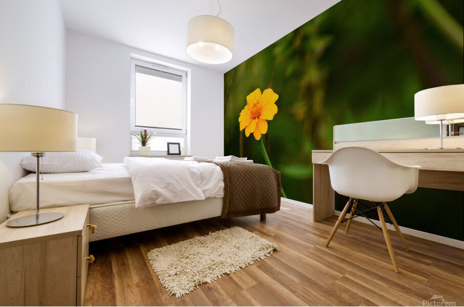 Flower 105 Mural print