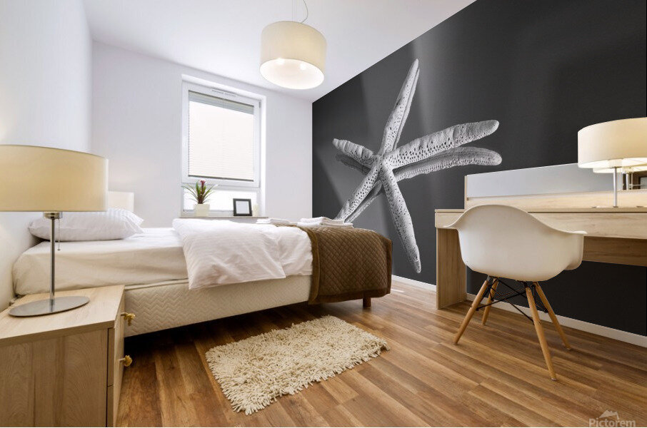 Shell 107 Mural print