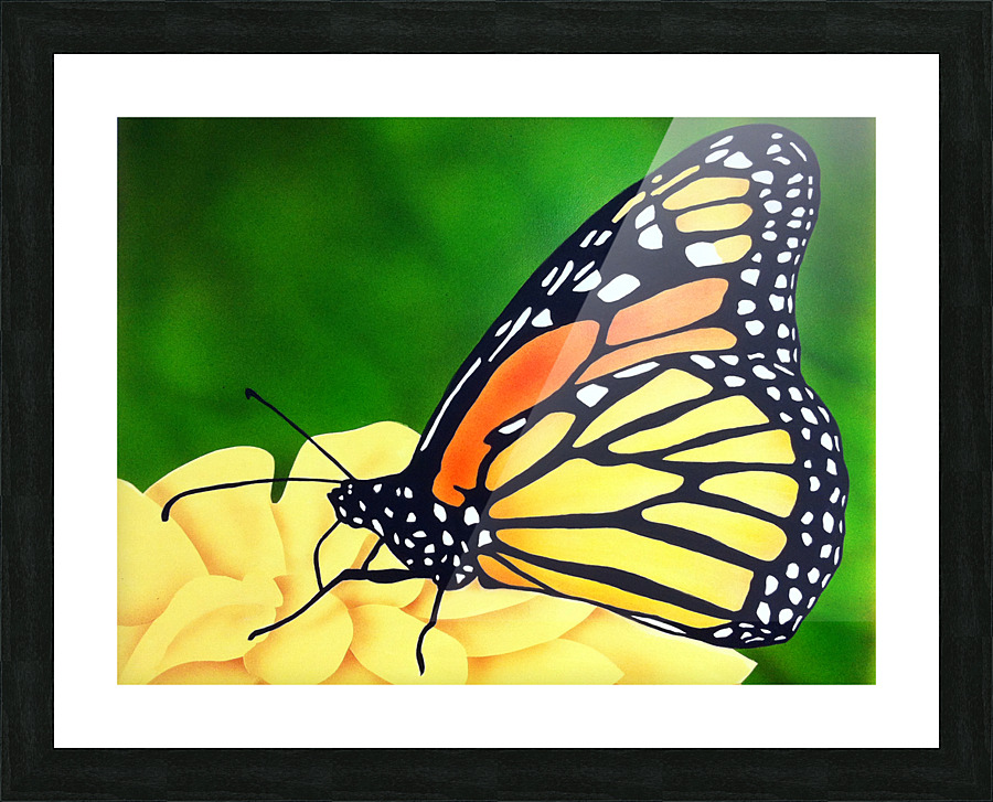 Butterfly 201 Picture Frame print