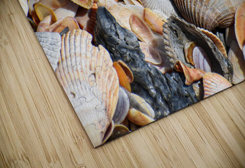 Sea Shells 2 ArtizanGalleries puzzle