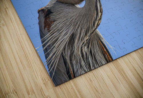 Grey Heron 104 ArtizanGalleries puzzle
