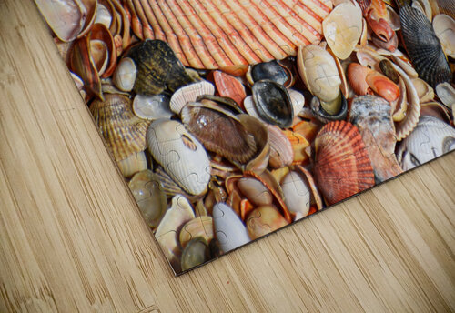 Shell 104 ArtizanGalleries puzzle