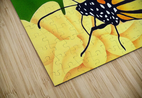 Butterfly 201 ArtizanGalleries puzzle