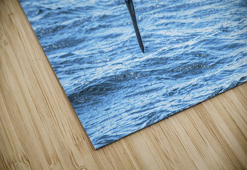 Pelican 101 ArtizanGalleries puzzle