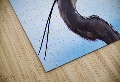 Grey Heron 101 ArtizanGalleries puzzle