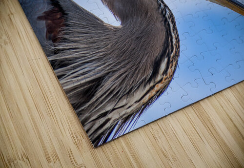 Grey Heron 103 ArtizanGalleries puzzle