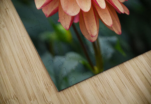 Flower 107 ArtizanGalleries puzzle