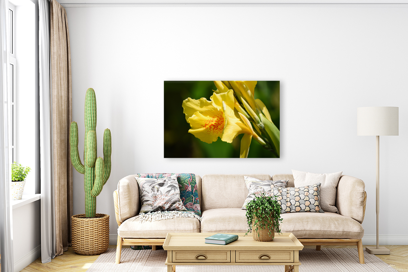 Flower 103 Reproduction
